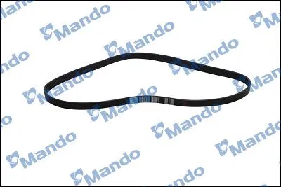 V Kayısı ORTAK_MODEL | MB6PK1210 MANDO