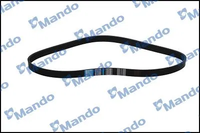 V Kayısı ORTAK_MODEL | MB6PK995 MANDO