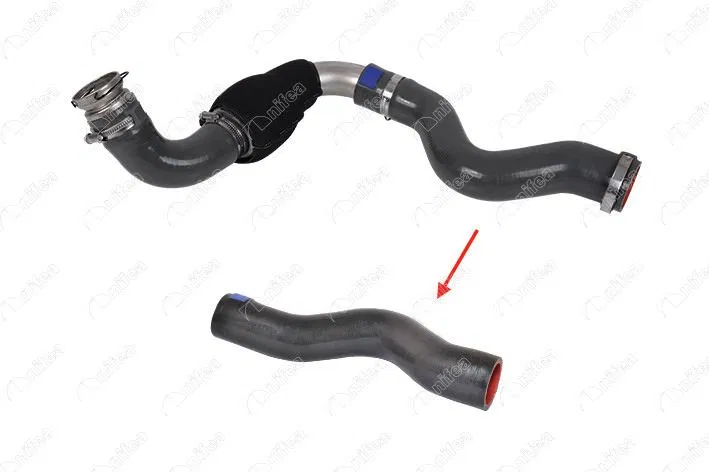 8200648187 Turbo Hortumu Küçük Metal Boru Hariç Trafic II 2.5 | NIFEA