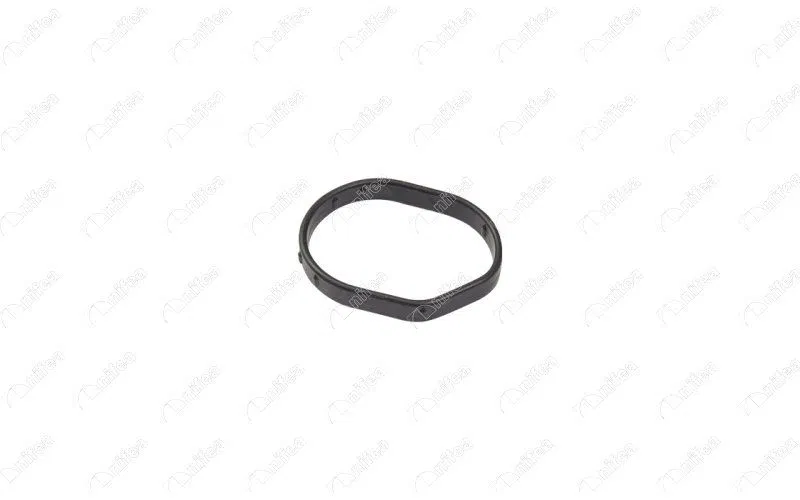 CM5G9K462AA Zamanlama Kapağı Contası Ford B-MAX 12> Ford Ec | NIFEA