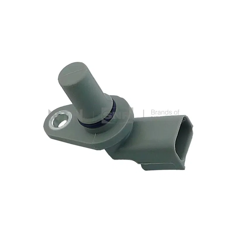 | CMP15204 SNR