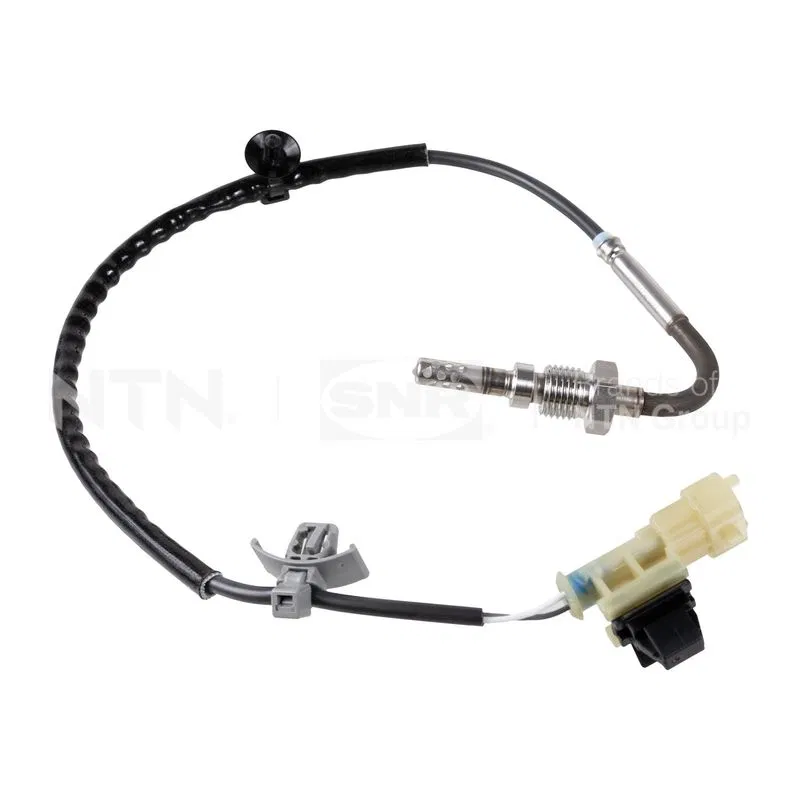 | EGT15304 SNR