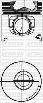 PISTON+SEGMAN Q104.0MM (STD)-TUMOSAN-TÜMOSAN - 804 | 31-03000-000 YENMAK