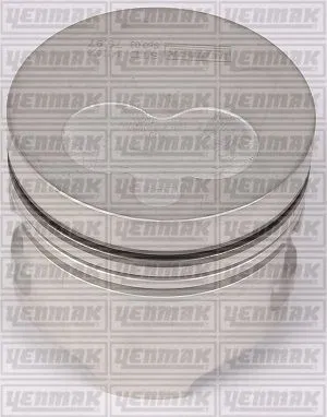 Motor PİSTON+SEGMAN 1.9D Express / Megane / R 19 | 31-04161-100 YENMAK