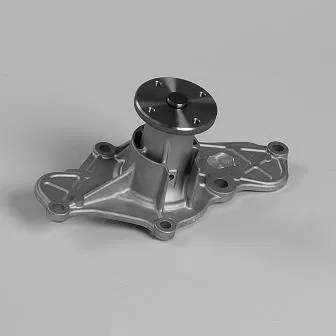 EPW282 Water Pump | 987116 GK