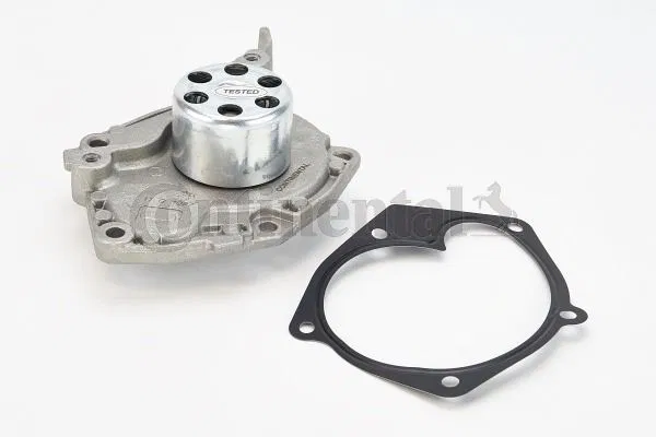 7701474435 Devirdaim | WP6024 CONTINENTAL