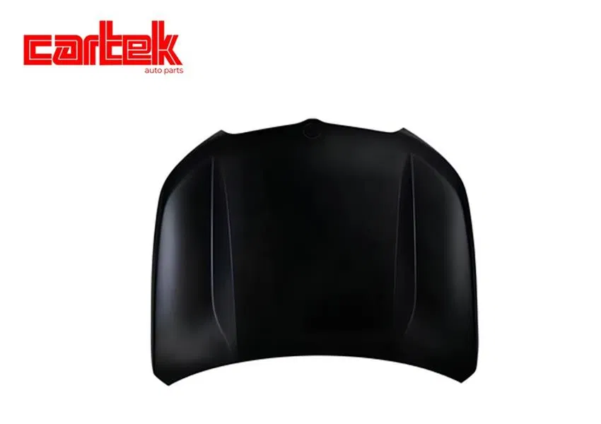 41009629102 Motor Kaputu U11 X1 2022- Sac | TPBMWRM2 CARTEK