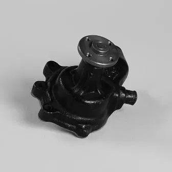 1610060080 Water Pump | 987783 GK