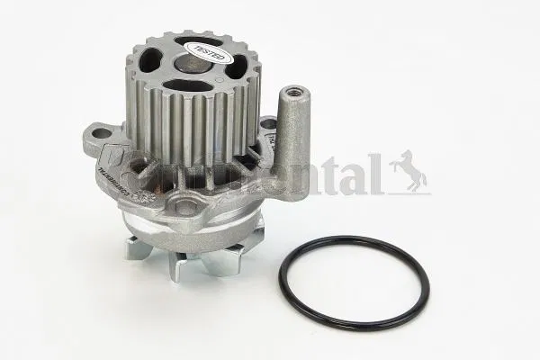 038121011G Devirdaim | WP6003 CONTINENTAL