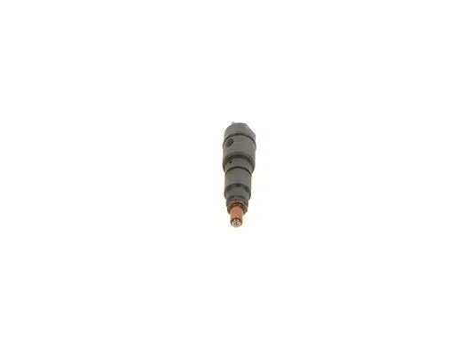 0010107051 Enjektör | 0432191387 BOSCH