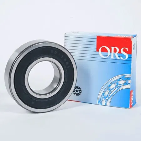 7702247060 Alternatör Rulmanı Ön R12 | 6302 ZZC3 ORS