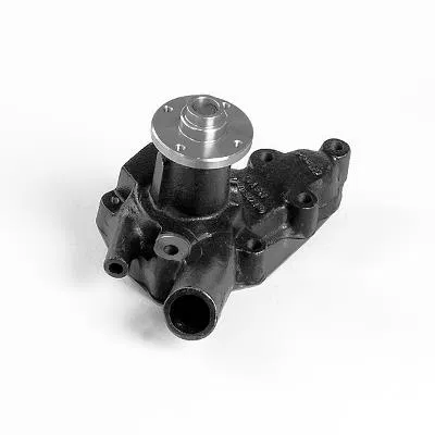 2101089TA1 Water Pump | 987203 GK