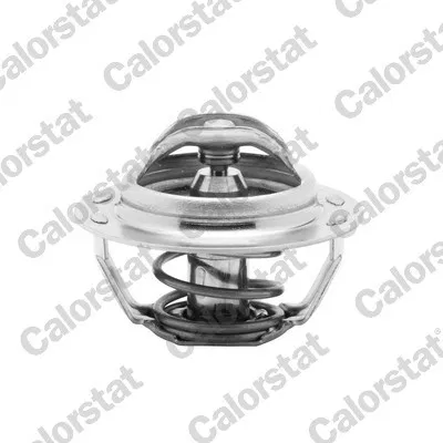 1338.39 Termostat P306 GTI P306 P405 P406 P605 P806 | TH4885.83J VERNET