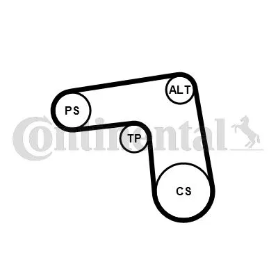Alternatör Gergi Kiti Fiat Ducato | 7PK1076K1 CONTINENTAL