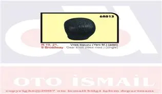 7700788661 Vites Topuzu R19-R21 | 6R013 OZAR