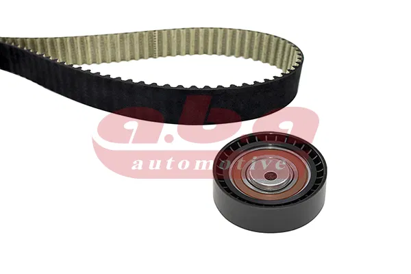130C17480R Eksantrik Gergi Kiti (096x173) Dacia Logan 04- | 25200096 ABA