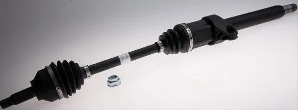Komple Aks | 306900 GKN