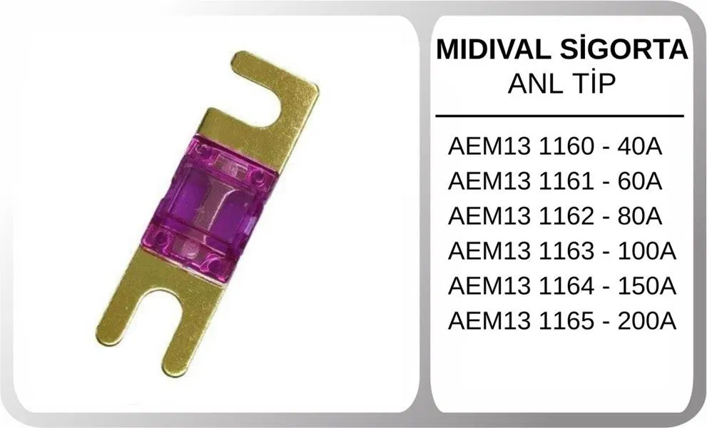 1163 Midival Sigorta Anl Tip 100A | AEM