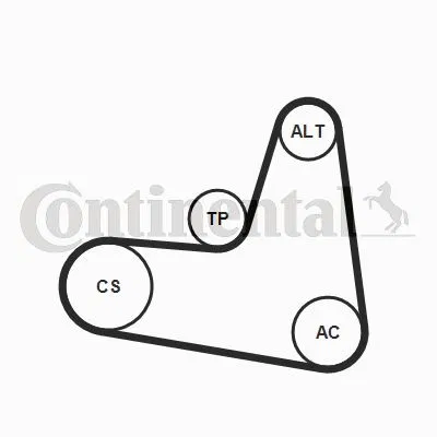 Kanallı V Kayışı Seti | 6PK1120K2 CONTINENTAL
