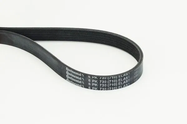 03L998037E Multi V-Belt | 6PK730ELAST CONTINENTAL