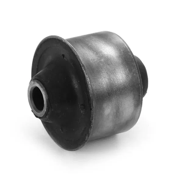 1F2Z3079AA Silentblock | 20248 AYD