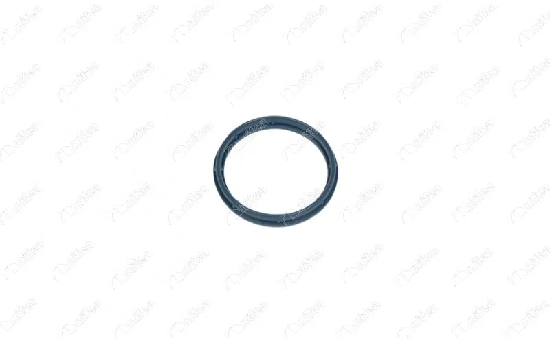 9809876580 Emme Manifold Boğaz Conta FORD-FİAT-PEUGEOT-CİTROE | 19386 NIFEA