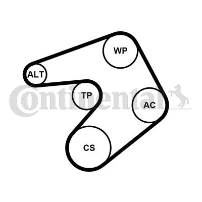 Multi V-Belt Kit + Water Pump | 6PK1205WP1 CONTINENTAL