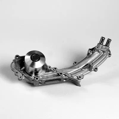 19200PY3000 Water Pump | 987813 GK