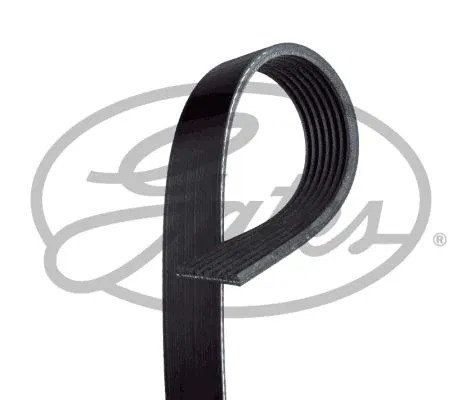 A138E0001F Mv | 7PK2448 GATES