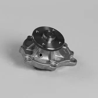 2101050L25 Water Pump | 987382 GK
