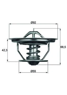 605250100050 Thermostat İnsert | TX3575 MAHLE