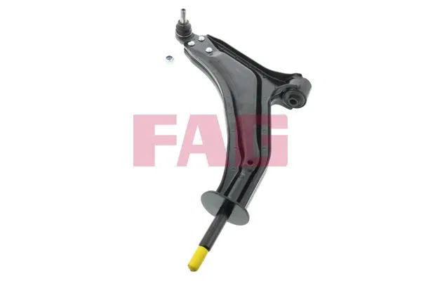 RBJ102450 Salıncak Land Rover Freelander I | 821006710 FAG