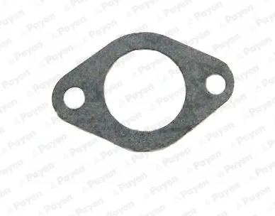 4179155 Fiat-Pkw Su Pompa Contası | KA293 PAYEN