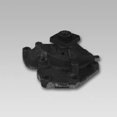 1126028 Water Pump | 980722 GK