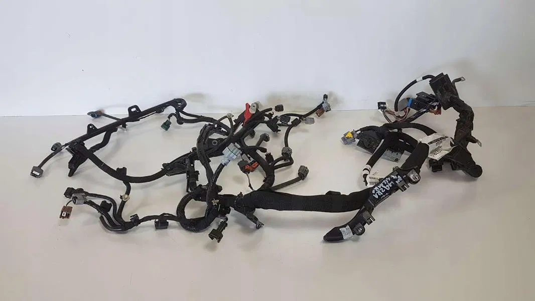 240119404R Motor Kablosu | MY