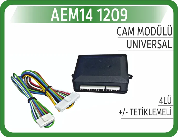 1209 Cam Modülü 4LÜ +/- Tetiklemeli | AEM