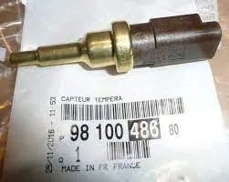 PSA 9810048680 Sic Kaptörü | PSA