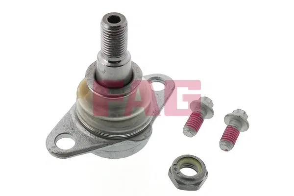 31103418341 Aks Kafası BMW X3 | 825011810 FAG