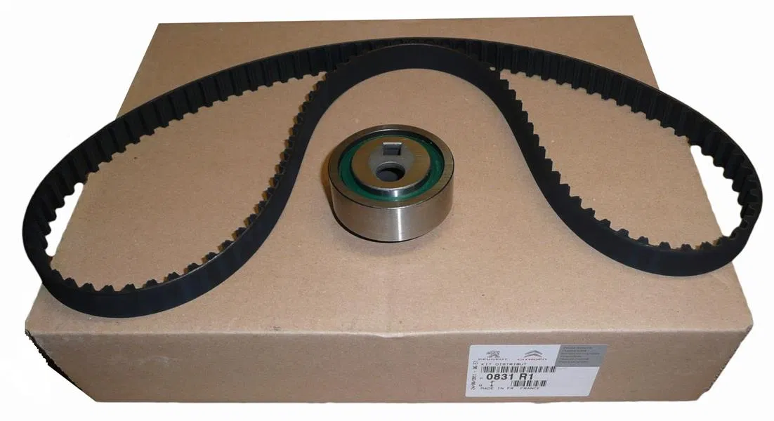 PSA 0831.R1 Distrib Kiti | PSA