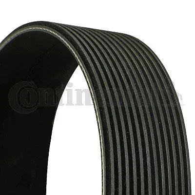51968200359 Multi V-Belt | 12PK1611 CONTINENTAL