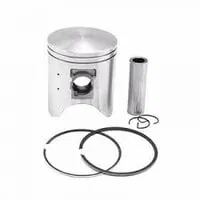 7702262173 Piston Ø 79.50 Mm - Std - Riken / Npr Segmanlı Renault Clio - Kangoo - Symbol 1.4İ 8V (K7J) - Dacia Logan - Solenza 1.4İ 8V ENG.(K7J) (1996-…) | ZZ014J1-STD SUPSAN