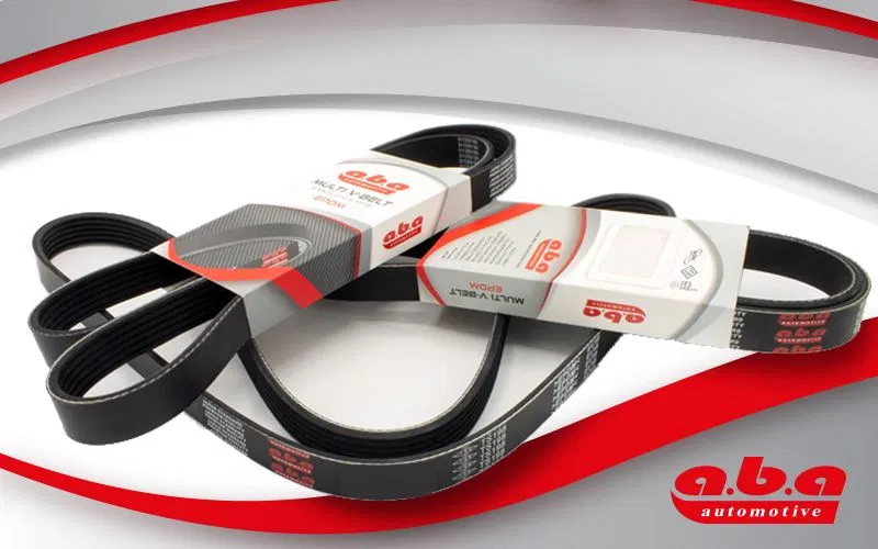 2521203000 Kanallı Kayış | 5PK1236 ABA