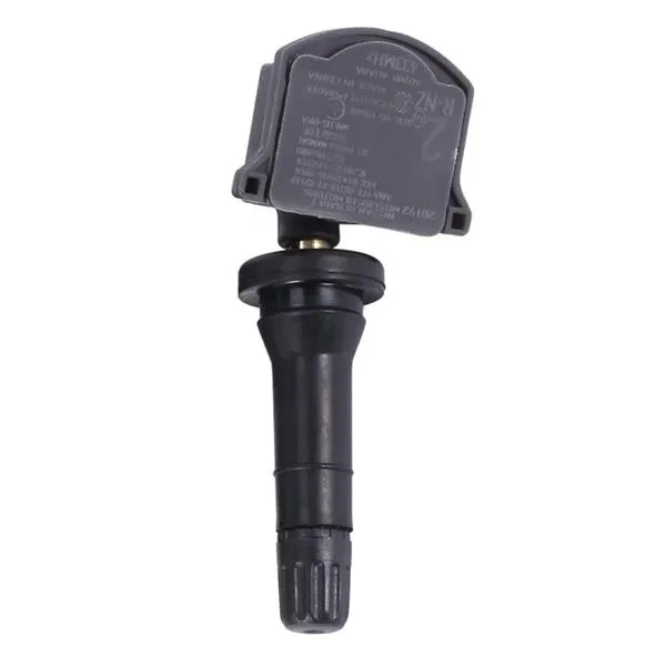Lastik Sübabı | 407006UA0A MAIS