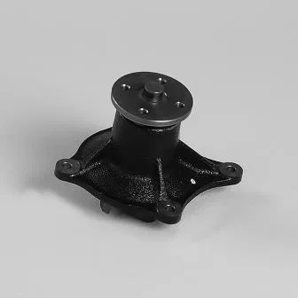 2510041000 Water Pump | 987702 GK