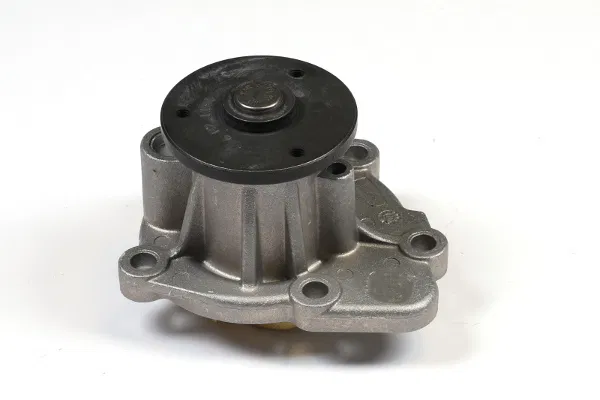 2510025002 Water Pump | 987405 GK