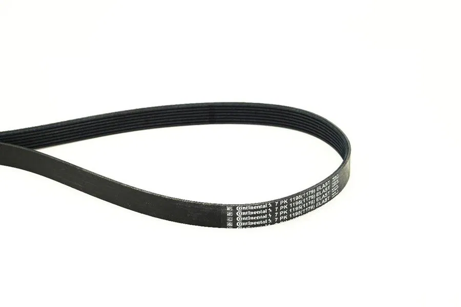117205123R Multi V-Belt | 7PK1195ELAST CONTINENTAL