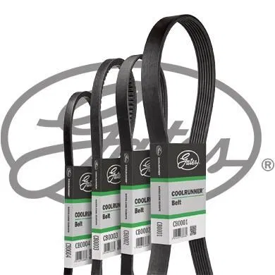 Coolrunner | CB0064 GATES
