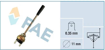 Salter | 63150 FAE