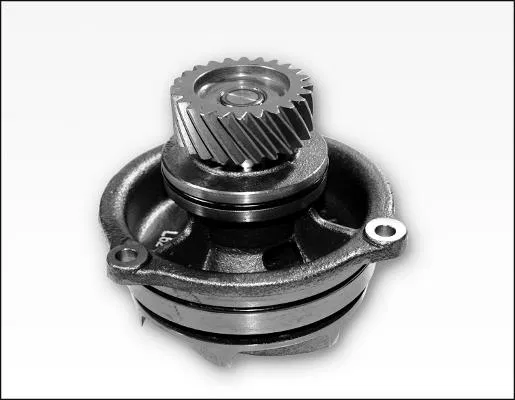 0000042530032 Water Pump | 981179 GK