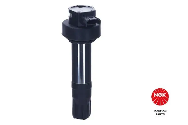12138569194 Atesleme Bobını BMW I3 | 49520 NGK